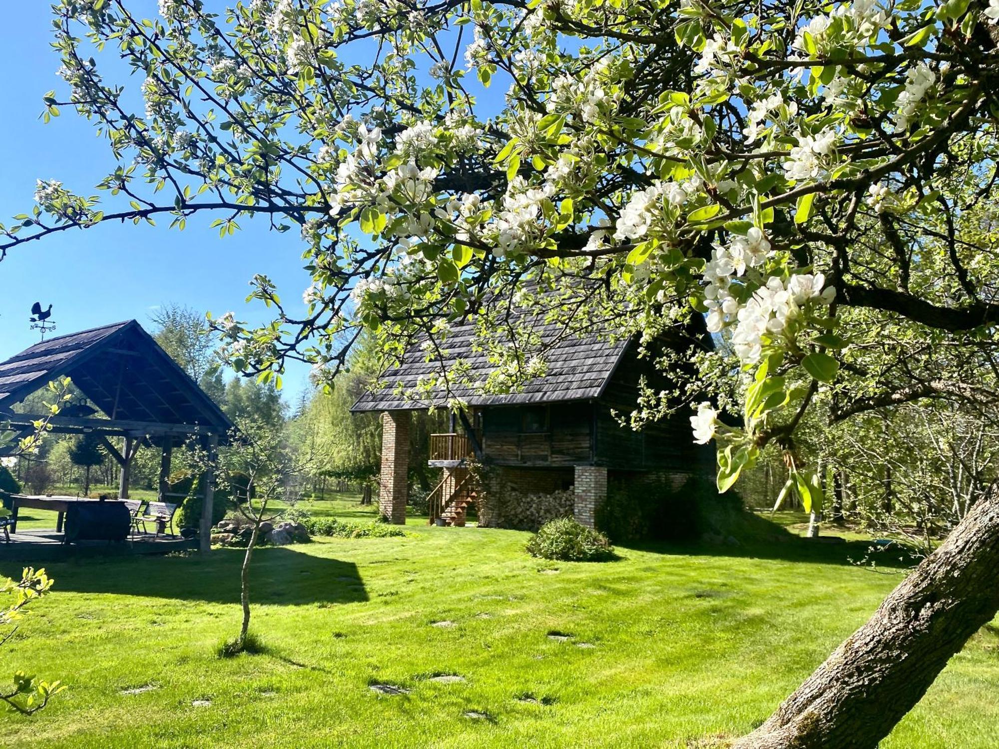 Griki Villa Kalniski Eksteriør billede